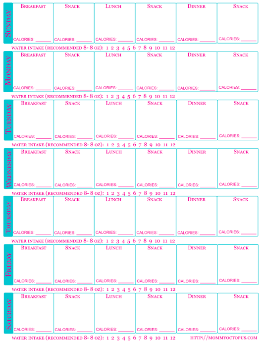 Free Printable Food Journal with Calorie Counter and Water Intake!