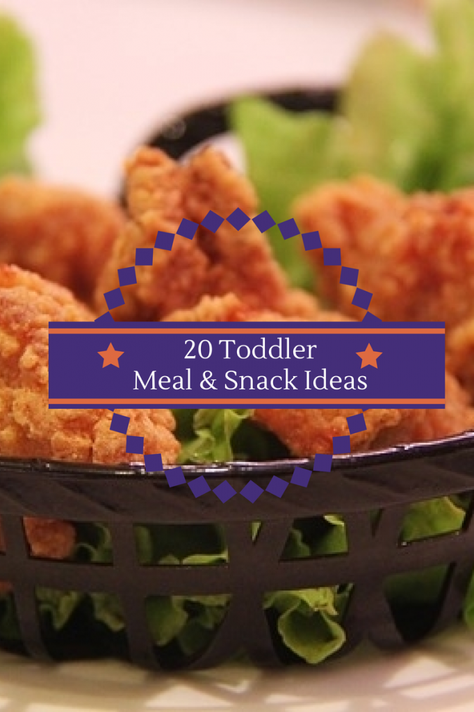 20 Toddler Meal and Snack Ideas