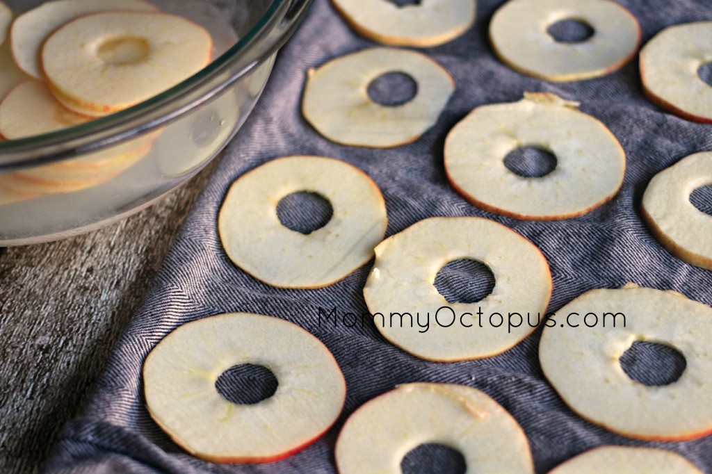 Simple Oven Dried Apple Ring
