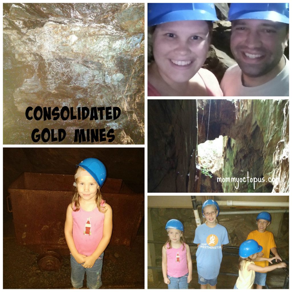 Consolidated Gold Mines