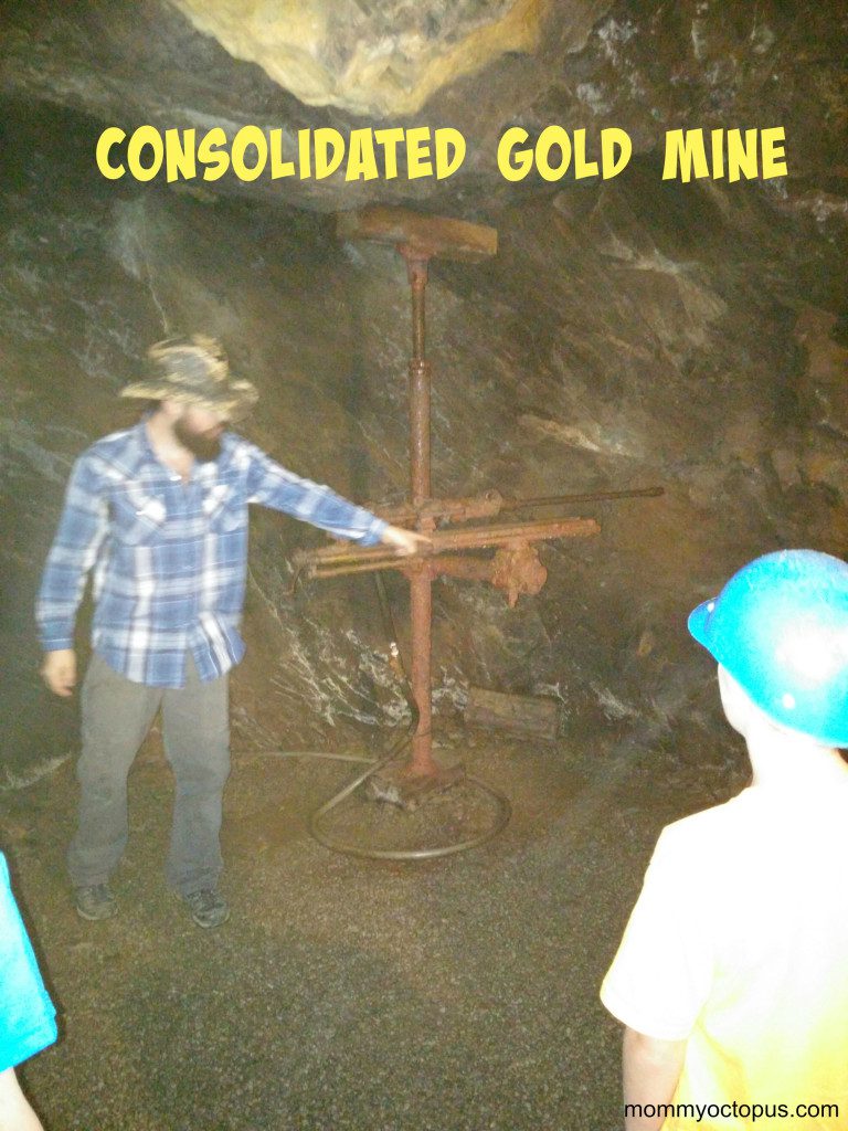 consolidated gold mine equipment