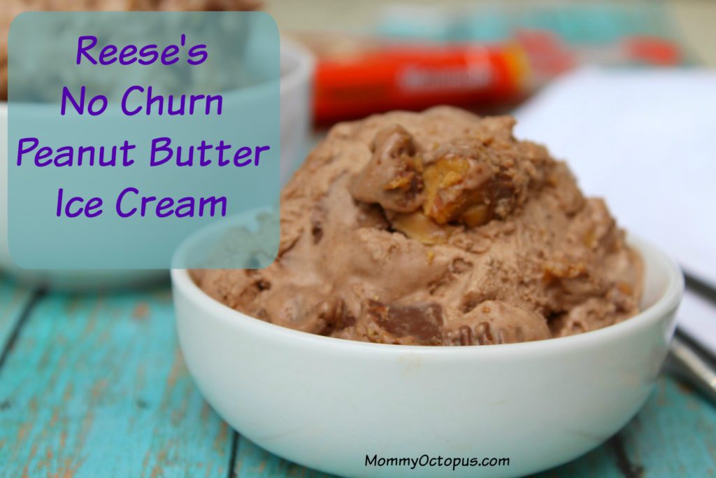 Reese's No Church Peanut Butter Ice Cream