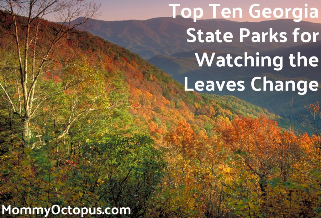 Top Ten Georgia State Parks For Watching The Leaves Change Mommy