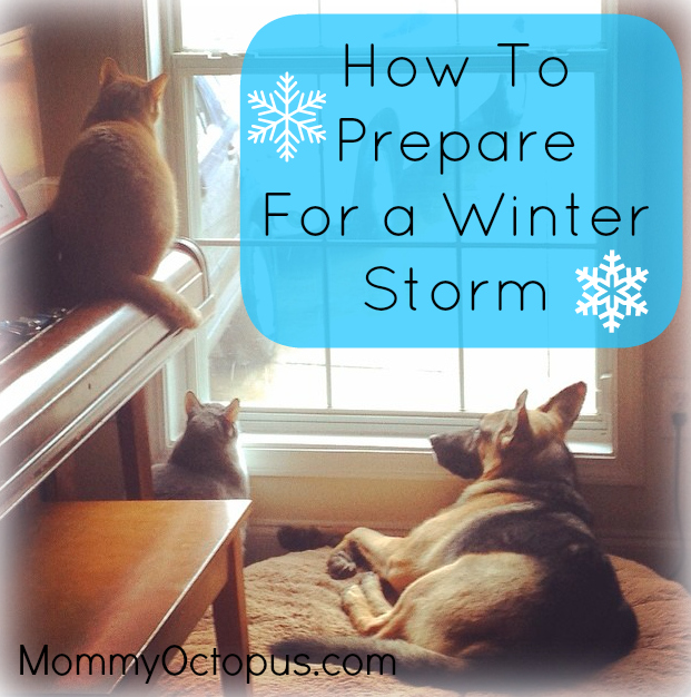 How to Prepare For a Winter Storm