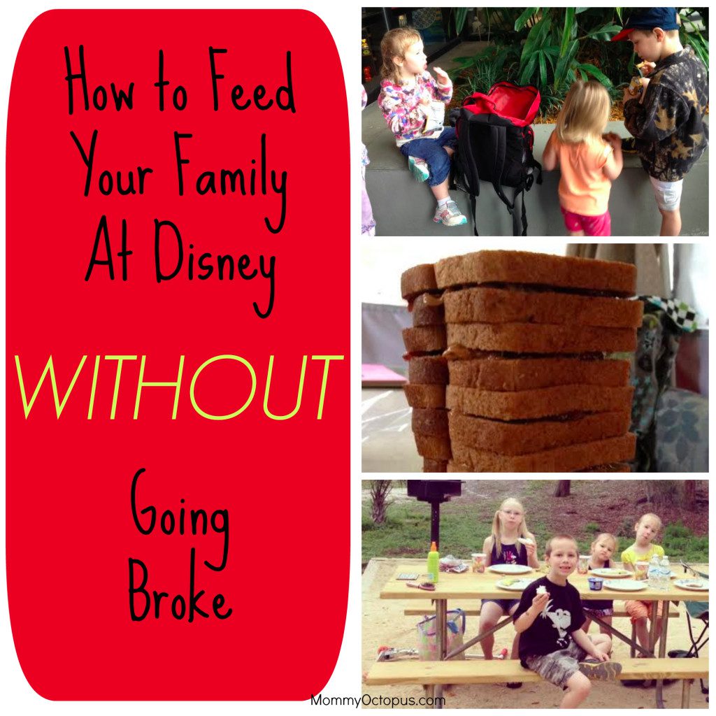 How To Feed Your Family at Disney Without Going Broke