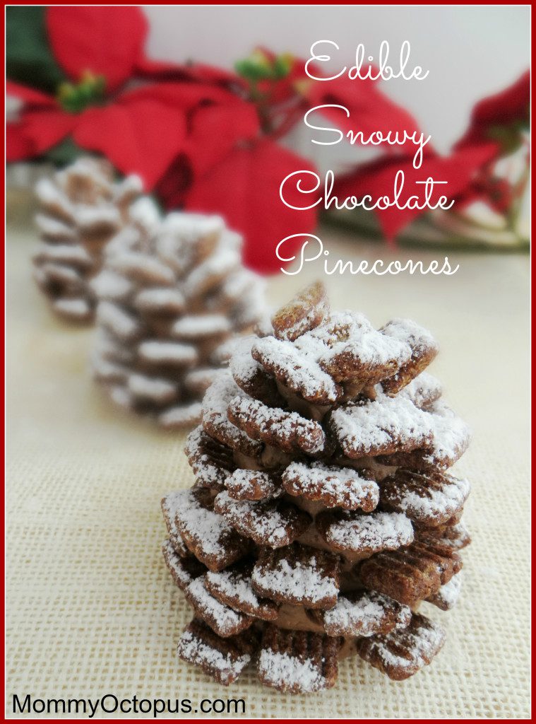 Edible Snowy Chocolate Pinecones