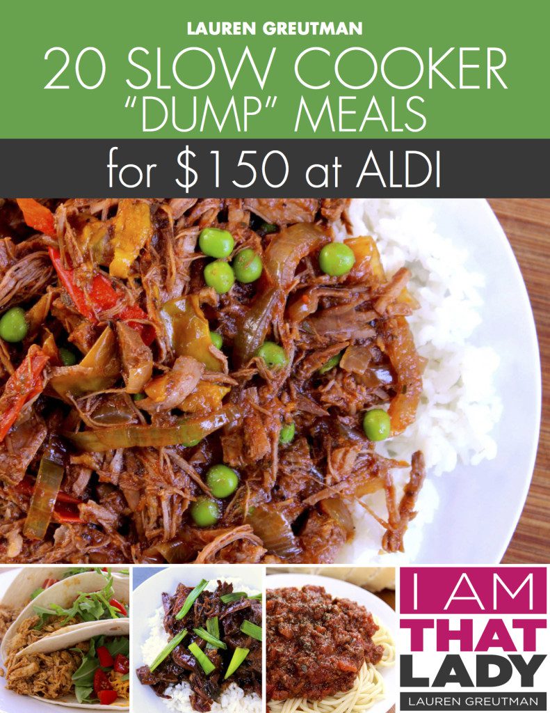 ALDI Slow cooker Dump Plan  - 20 Meals For $150!
