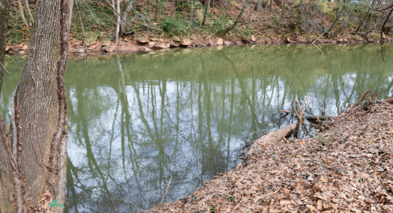 Athens Parks Re-Opening Details